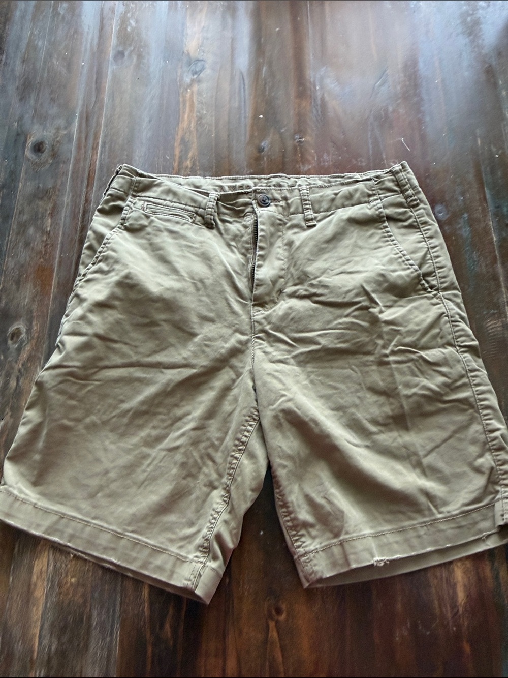 American Eagle Outfitters Men's Olive-Tan Flat Front Shorts